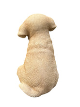 Load image into Gallery viewer, SoReal - Yawning Labrador
