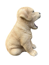 Load image into Gallery viewer, SoReal - Yawning Labrador
