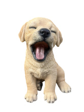 Load image into Gallery viewer, SoReal - Yawning Labrador
