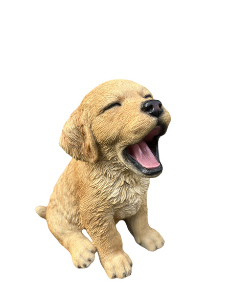 SoReal - Yawning Golden Retriever
