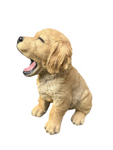 Load image into Gallery viewer, SoReal - Yawning Golden Retriever
