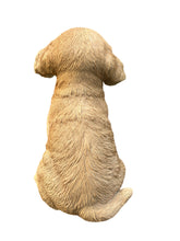 Load image into Gallery viewer, SoReal - Yawning Golden Retriever
