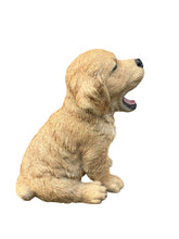 Load image into Gallery viewer, SoReal - Yawning Golden Retriever
