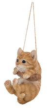 Load image into Gallery viewer, 87704-G - PET PALS - TABBY KITTEN HANGING
