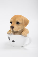 Load image into Gallery viewer, 87706-A - PET PALS - TEACUP LABRADOR PUPPY
