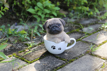 Load image into Gallery viewer, 87706-B - PET PALS - TEACUP PUG PUPPY
