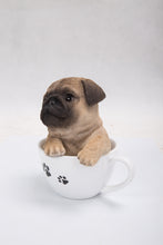 Load image into Gallery viewer, 87706-B - PET PALS - TEACUP PUG PUPPY
