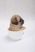 Load image into Gallery viewer, 87706-B - PET PALS - TEACUP PUG PUPPY
