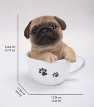 Load image into Gallery viewer, 87706-B - PET PALS - TEACUP PUG PUPPY
