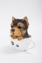 Load image into Gallery viewer, 87706-D - PET PALS - TEACUP YORKSHIRE TERRIER PUPPY
