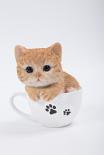 Load image into Gallery viewer, PET PALS - TEACUP KITTEN ORANGE TABBY
