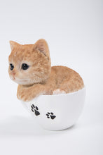 Load image into Gallery viewer, PET PALS - TEACUP KITTEN ORANGE TABBY
