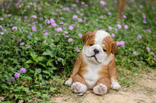 Load image into Gallery viewer, 87710-F-M - BULLDOG SLEEPING MEDIUM
