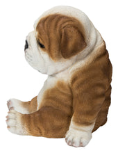 Load image into Gallery viewer, 87710-F-M - BULLDOG SLEEPING MEDIUM
