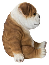 Load image into Gallery viewer, 87710-F-M - BULLDOG SLEEPING MEDIUM
