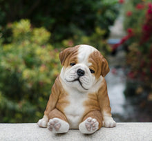 Load image into Gallery viewer, 87710-F-M - BULLDOG SLEEPING MEDIUM
