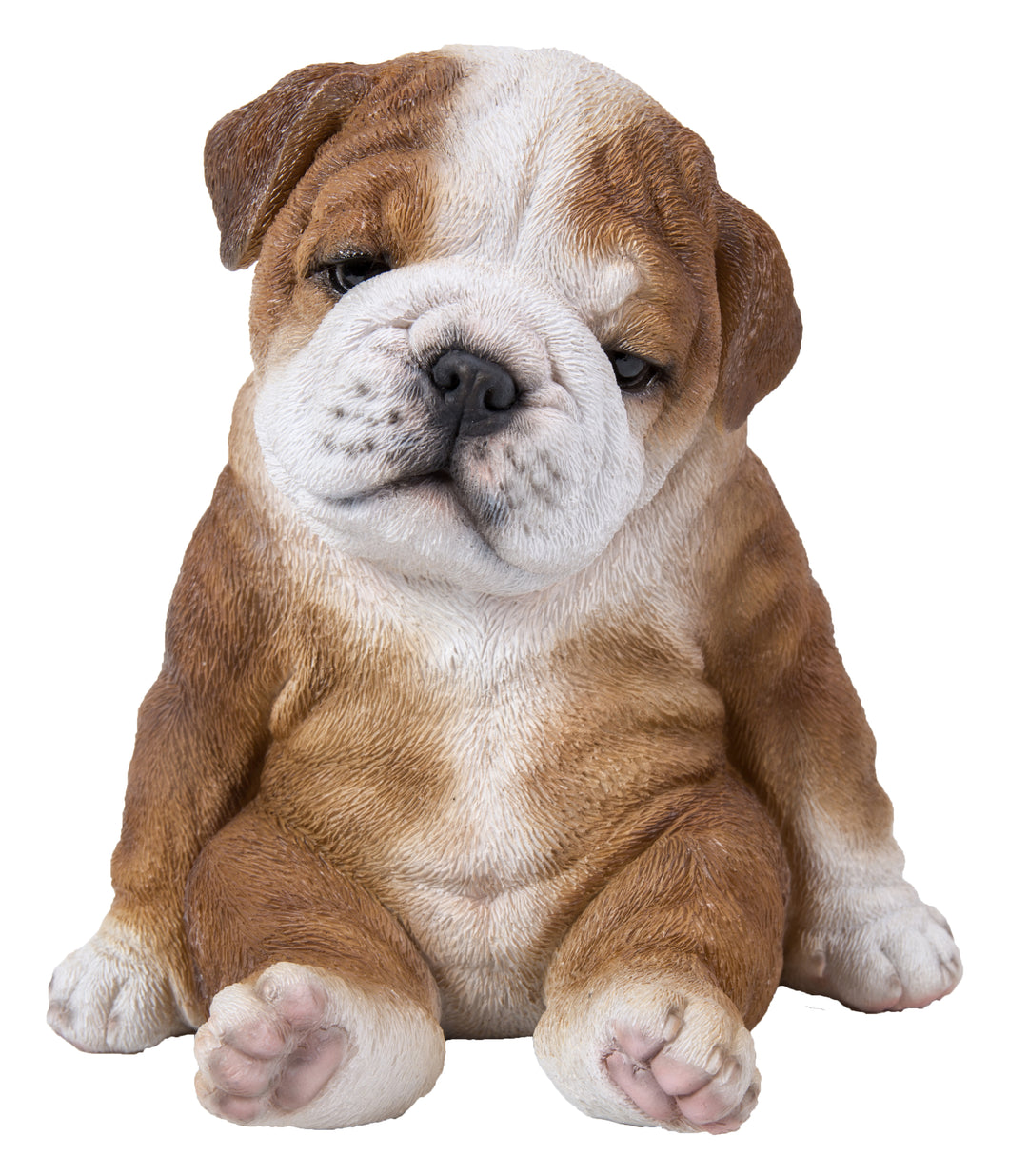 PET PALS - BULLDOG PUPPY SITTING SLEEPY
