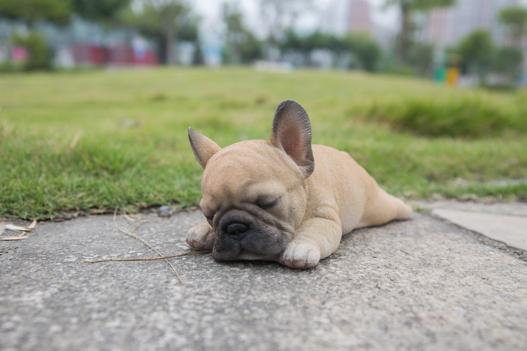 87710-G - PET PALS - FRENCH BULLDOG PUPPY SLEEPING