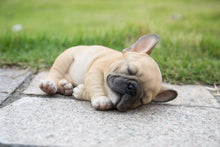 Load image into Gallery viewer, 87710-H - PET PALS - FRENCH BULLDOG PUPPY SLEEPING
