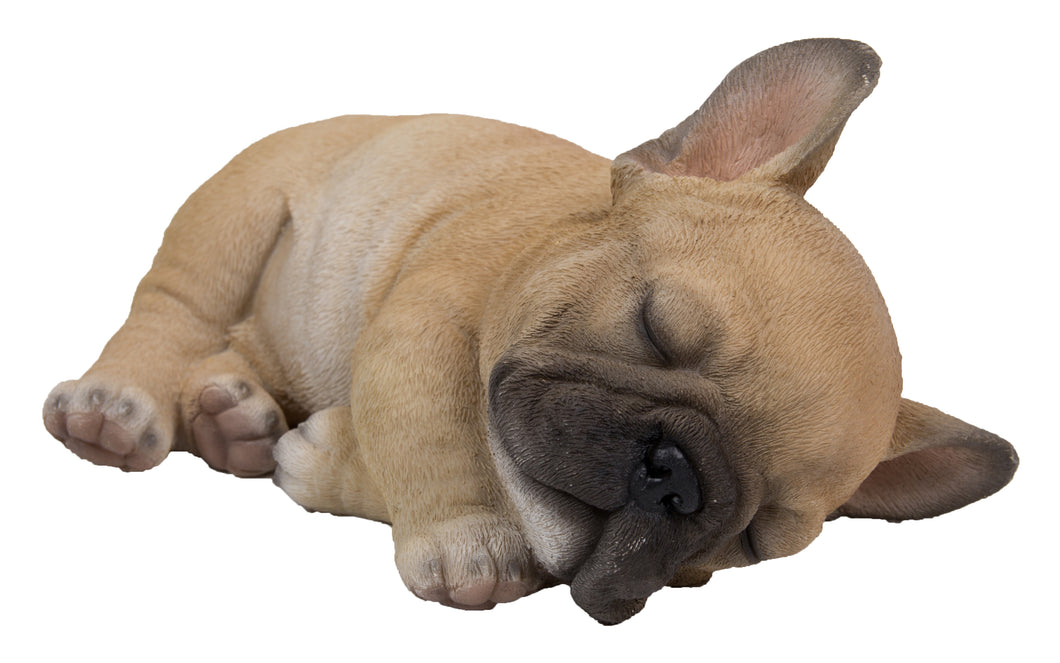 PET PALS - FRENCH BULLDOG PUPPY SLEEPING