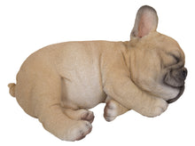 Load image into Gallery viewer, 87710-H - PET PALS - FRENCH BULLDOG PUPPY SLEEPING
