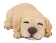 Load image into Gallery viewer, 87710-I - PET PALS - LABRADOR PUPPY SLEEPING - YELLOW
