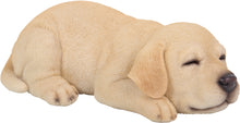 Load image into Gallery viewer, 87710-I - PET PALS - LABRADOR PUPPY SLEEPING - YELLOW
