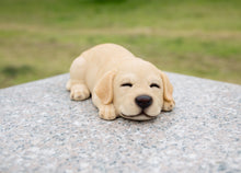 Load image into Gallery viewer, 87710-I - PET PALS - LABRADOR PUPPY SLEEPING - YELLOW
