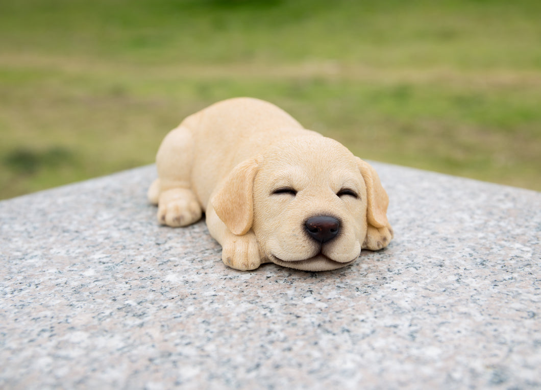 87710-I - PET PALS - LABRADOR PUPPY SLEEPING - YELLOW