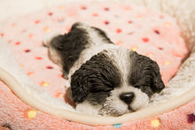 Load image into Gallery viewer, 87710-J - PET PALS - SHIH TZU PUPPY SLEEPING - BLACK/WHITE
