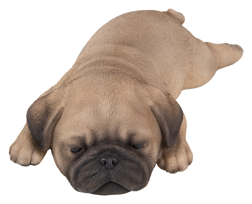 PET PALS - PUG PUPPY SLEEPING