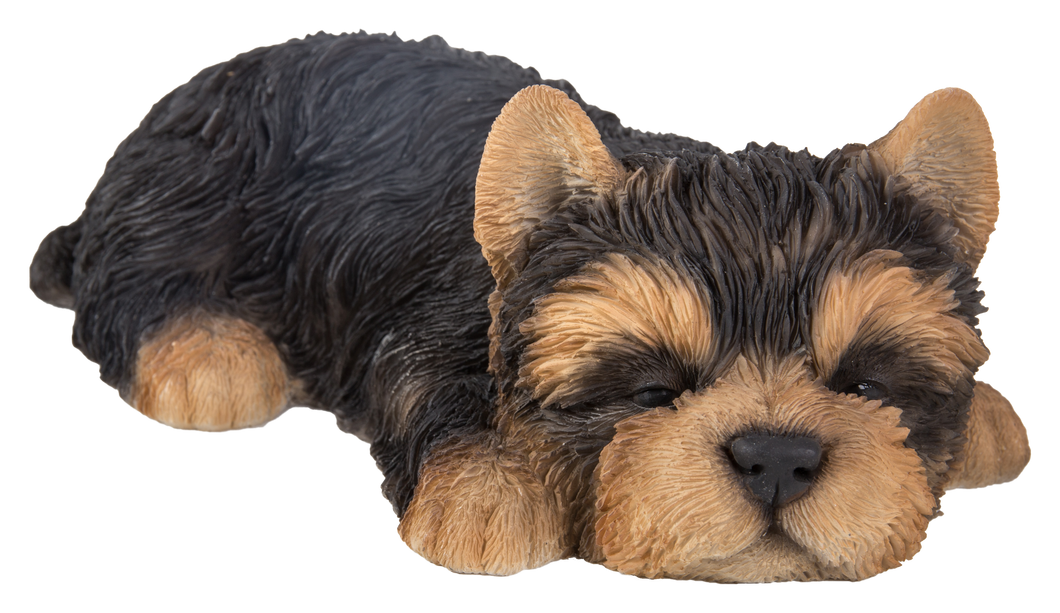 PET PALS - YORKSHIRE TERRIER PUPPY SLEEPING