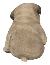 Load image into Gallery viewer, 87710-P - SITTING SLEEPY PUG PUPPY STATUE (HI-LINE EXCLUSIVE)
