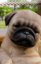 Load image into Gallery viewer, 87710-P - SITTING SLEEPY PUG PUPPY STATUE (HI-LINE EXCLUSIVE)
