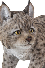 Load image into Gallery viewer, 87711 - LYNX
