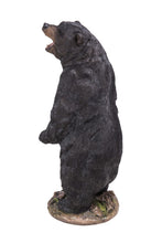 Load image into Gallery viewer, 87714 - BEAR STANDING GROWLING (HI-LINE EXCLUSIVE)
