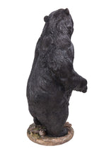 Load image into Gallery viewer, 87714 - BEAR STANDING GROWLING (HI-LINE EXCLUSIVE)
