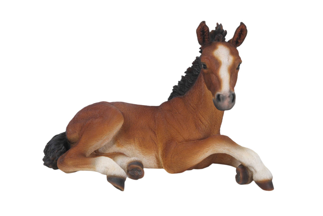 87715 - HORSE COLT LAYING DOWN