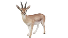 Load image into Gallery viewer, GAZELLE
