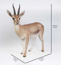 Load image into Gallery viewer, 87716 - GAZELLE
