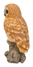 Load image into Gallery viewer, 87717-B - TAWNY OWL ON STUMP
