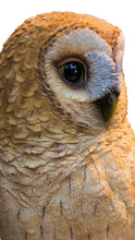 Load image into Gallery viewer, 87717-B - TAWNY OWL ON STUMP
