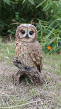 Load image into Gallery viewer, 87717-C - BROWN OWL ON STUMP
