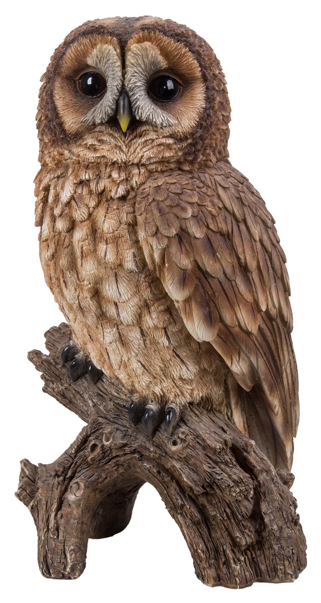 BROWN OWL ON STUMP