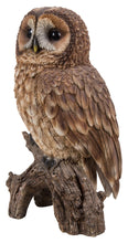 Load image into Gallery viewer, 87717-C - BROWN OWL ON STUMP
