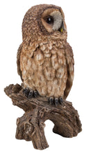 Load image into Gallery viewer, 87717-C - BROWN OWL ON STUMP
