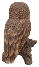 Load image into Gallery viewer, 87717-C - BROWN OWL ON STUMP
