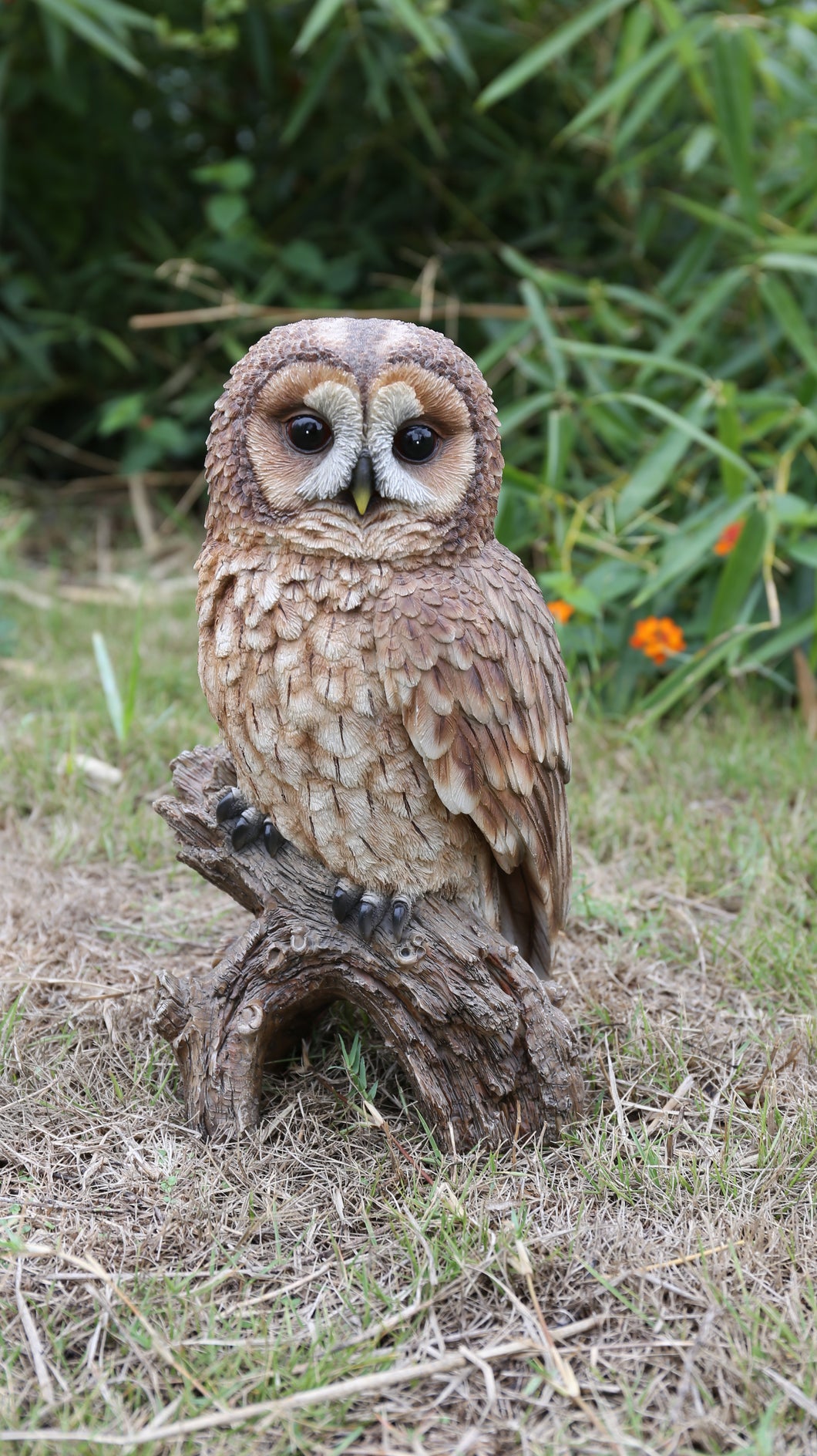 87717-C - BROWN OWL ON STUMP