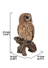 Load image into Gallery viewer, 87717-C - BROWN OWL ON STUMP
