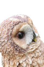 Load image into Gallery viewer, 87717-C - BROWN OWL ON STUMP
